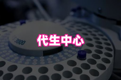 幸孕 1