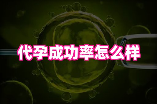 幸孕 2
